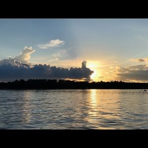 Meet your Posher, Izzy